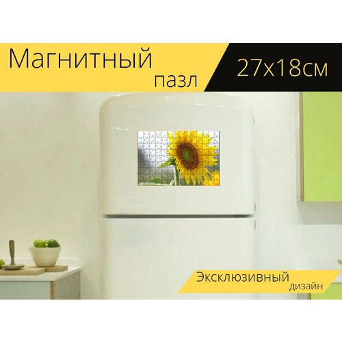 Магнитный пазл Цветок, подсолнечник, желтый на холодильник 27 x 18 см. магнитный пазл подсолнечник цветок лето на холодильник 27 x 18 см