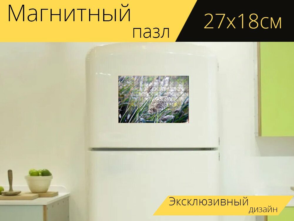 Магнитный пазл "Камыши, природа, природа рид" на холодильник 27 x 18 см.