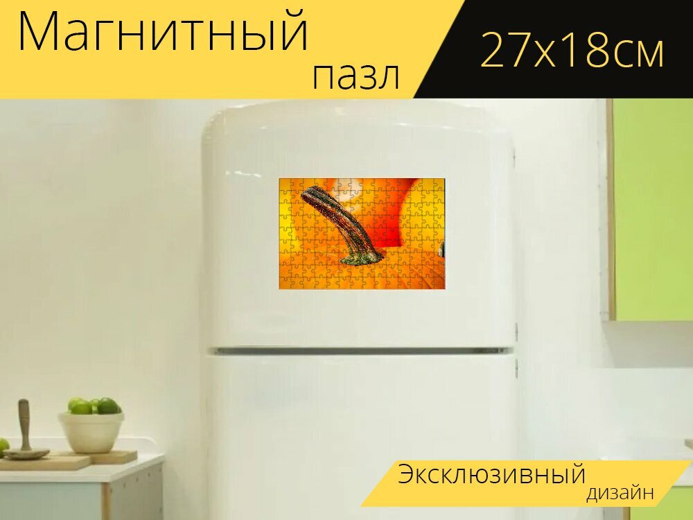 Магнитный пазл "Тыква, стебель, падение" на холодильник 27 x 18 см.