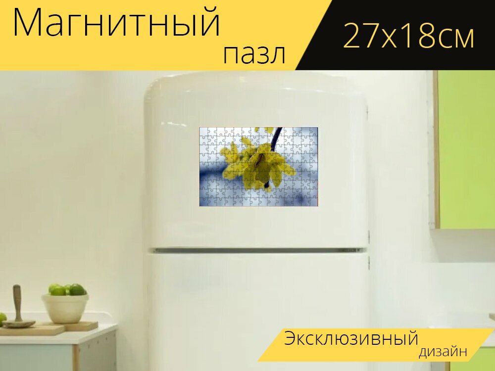 Магнитный пазл "Берберин алиса насекомое есть мед" на холодильник 27 x 18 см.