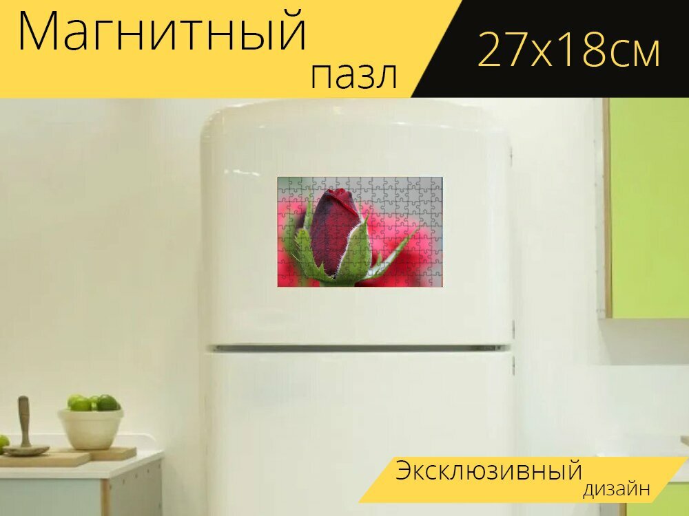 Магнитный пазл "Красная роза бархат, бутон, зеленые листья" на холодильник 27 x 18 см.