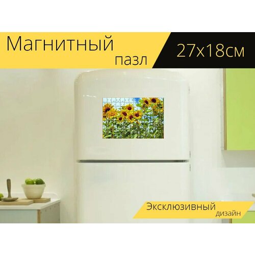 Магнитный пазл Подсолнухи, цветок, цвести на холодильник 27 x 18 см. магнитный пазл подсолнухи цвести желтый на холодильник 27 x 18 см