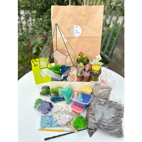 Набор для создания флорариума Капля с суккулентами King Florik 6742₽