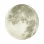 Настенно потолочный светильник Sonex Moon 3084/EL, LED, 72Вт, кол-во ламп:1шт, Серый