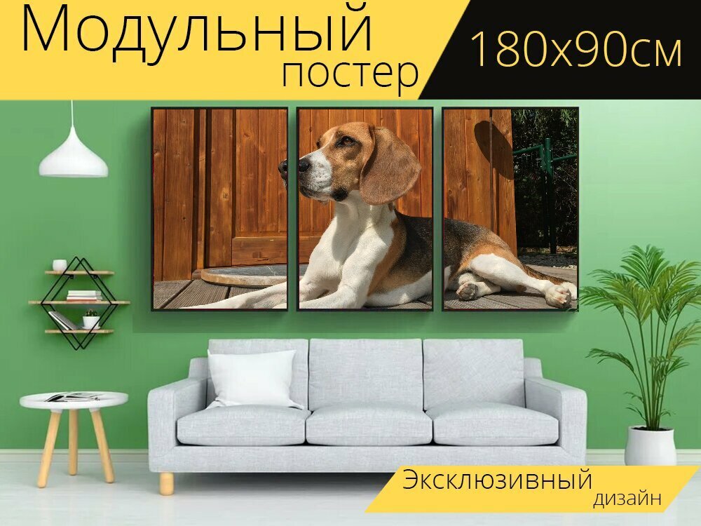 Модульный постер "Гончая, собака, охотничья собака" 180 x 90 см. для интерьера