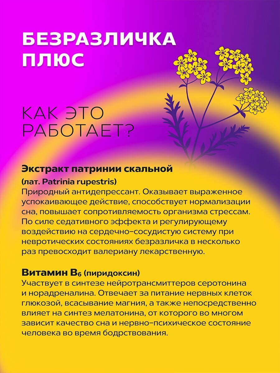 Противотревожные Препараты Успокоительное от стресса Безразличка + витамин В6 для сна от нервов