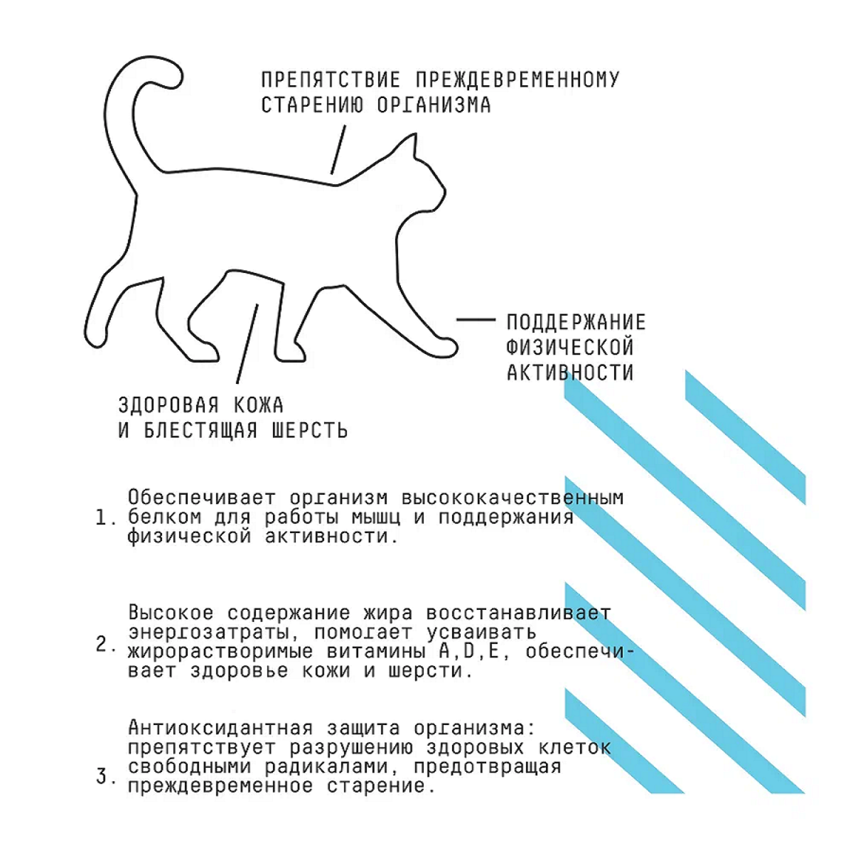 AJO Cat Аctive Сухой полнорационный корм для взрослых кошек, 1,5 кг - фотография № 11