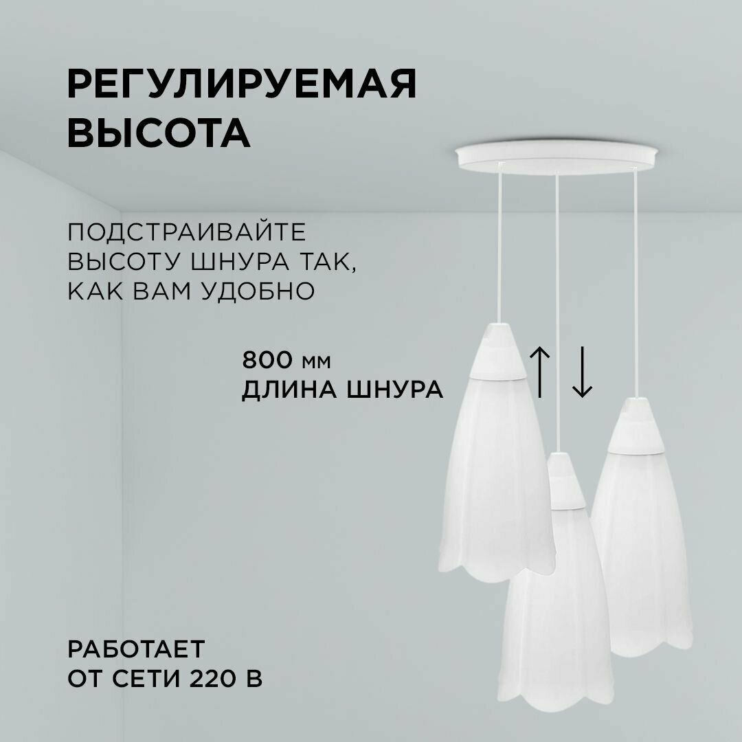 Подвесной светильник APEYRON Electrics Брауэр 16-23 - фото №2
