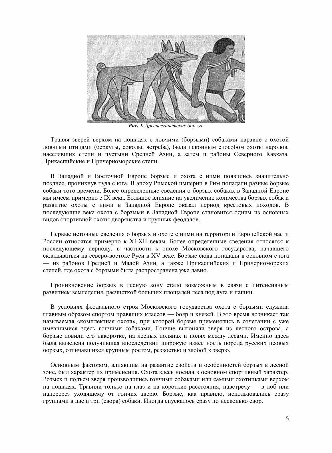 Книга Борзые и охота с ними (Шерешевский Эдмунд Иосифович) - фото №3