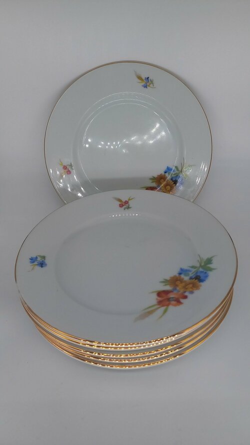 Винтажный набор фарфоровых тарелок с цветочной росписью, Богемия Чехословакия