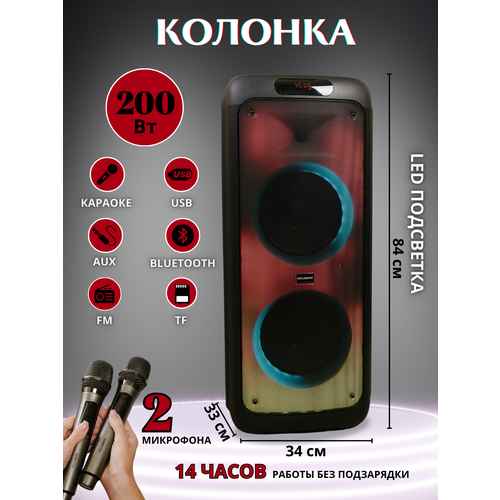 Акустическая система с функцией караоке HOLLEBERG HX-A210