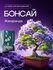 Набор для выращивания растений бонсай "Жакаранда"