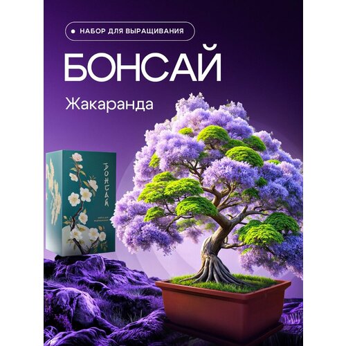 Набор для выращивания растений бонсай 