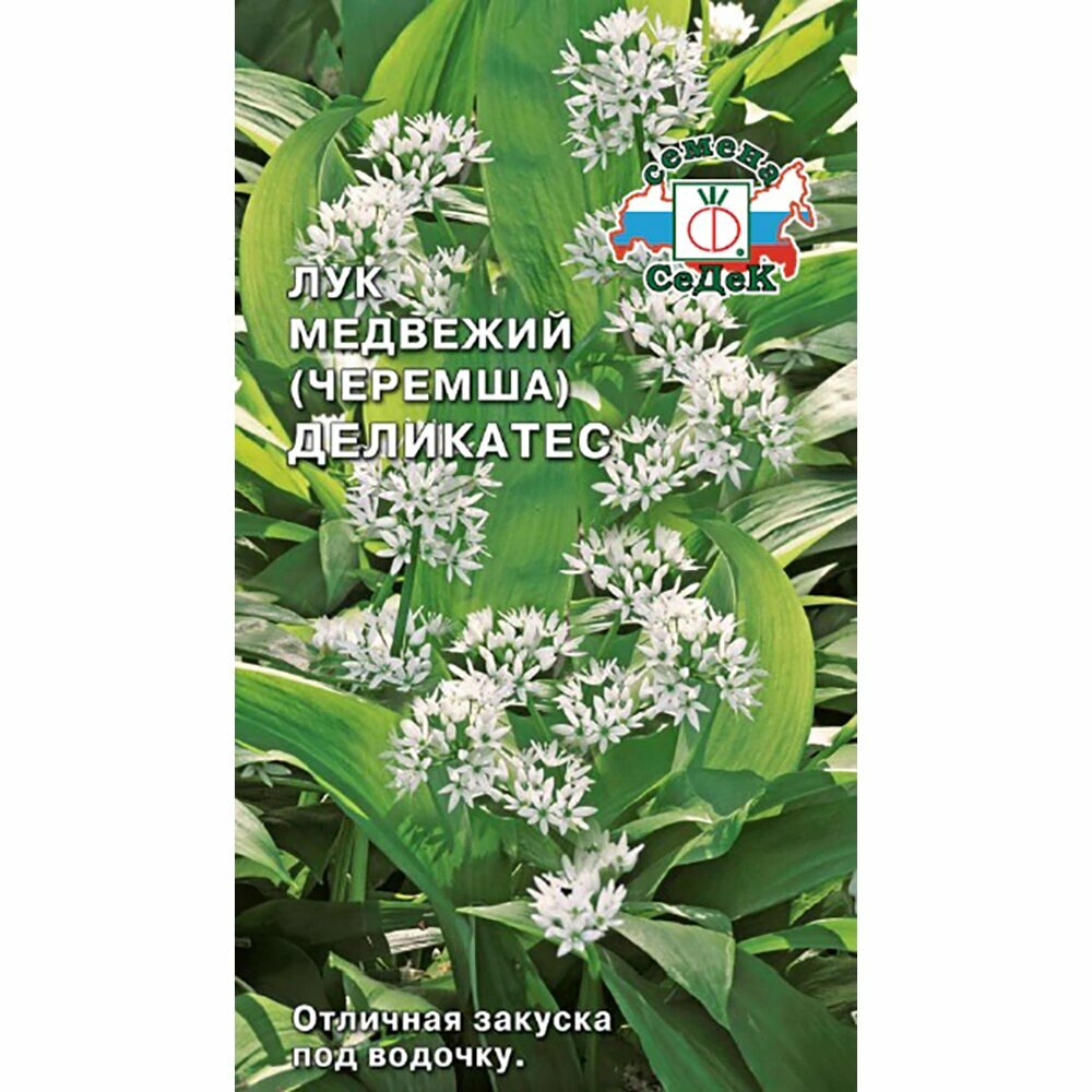 Лук черемша Медвежий деликатес 02 г