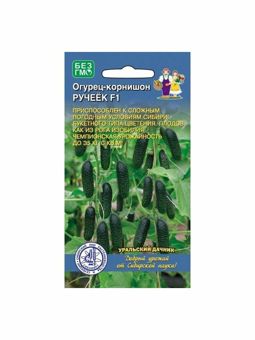 Семена Огурец Ручеек F1 корнишон  партенокарпический  1 пачка   10 семян