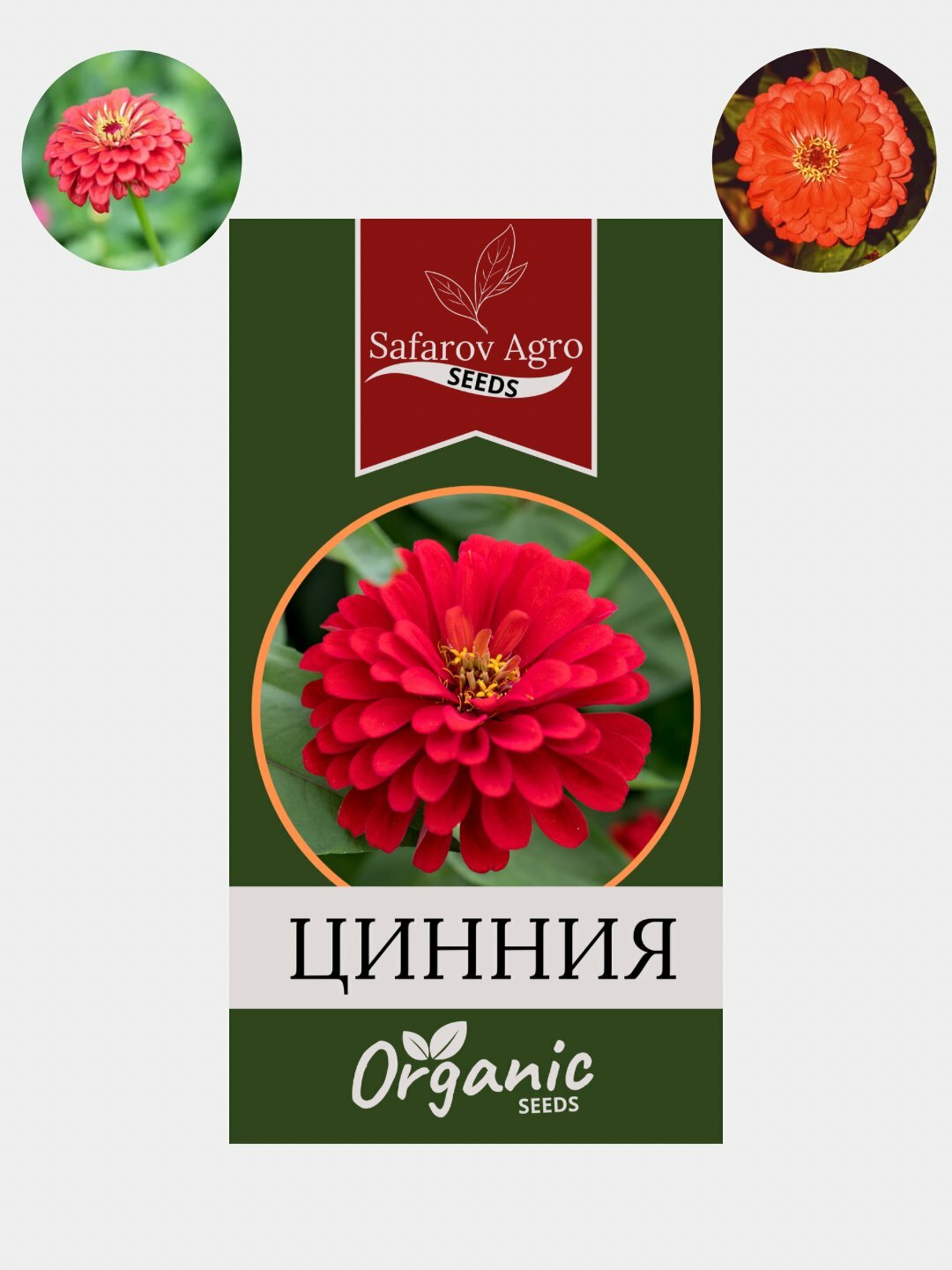 Семена цветов Цинния, Портулак, Гвоздика, Клеома, Георгина. Сальвия, семя