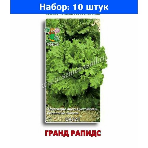 Салат Гранд Рапидс полукочанный 1г Ср (Поиск) - 10 пачек семян