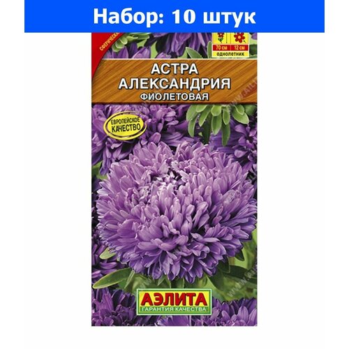 Астра Александрия фиолетовая 0,1г Одн 70см (Аэлита) - 10 пачек семян смесь улыбка лета 2г смесь одн 70см аэлита 10 пачек семян