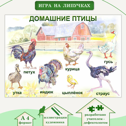 Развивающий набор 