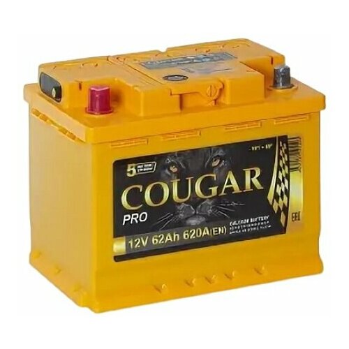 Аккумулятор автомобильный Cougar PRO 62 А/ч 620 А прям. пол. Росс. авто (242x175x190)