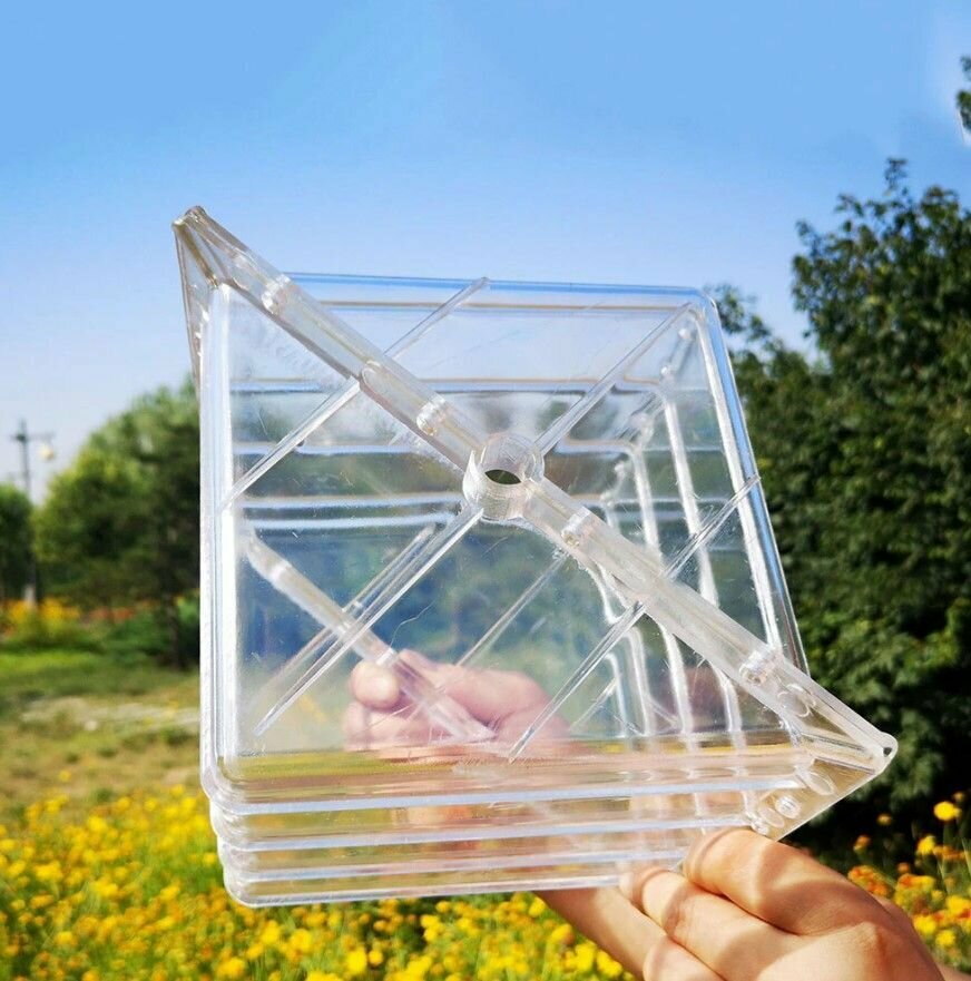 Форма "Куб" для выращивания фигурных арбузов - фотография № 7