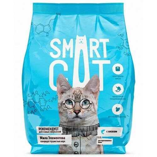 Smart Cat для стерилизованных кошек с лососем, 5 кг