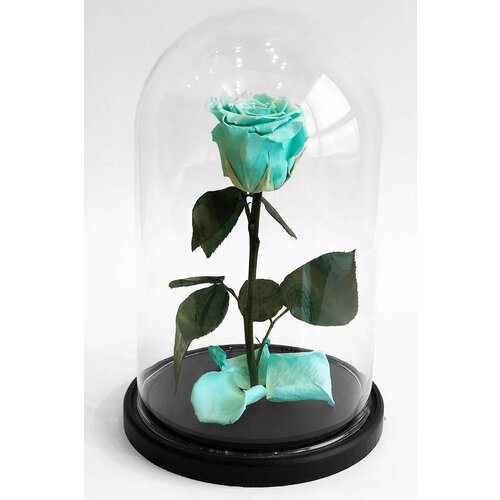 Роза в колбе премиум Тифани 27*15*6см