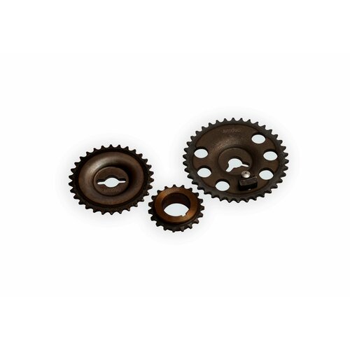 Звездочка ГРМ ВАЗ-2123, 21214 (однорядная цепь) кмп 3шт. под датчик фаз (Avtograd)