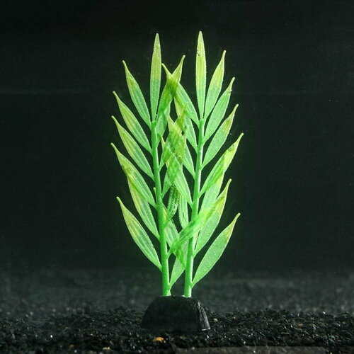 Растение силиконовое аквариумное, светящееся в темноте, 6.5 x 18 см, зелёное