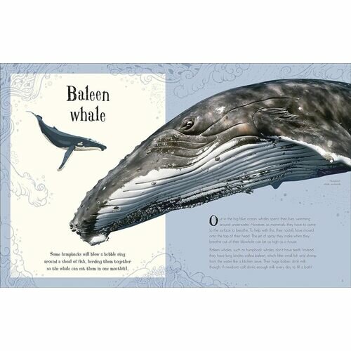 An Anthology of Intriguing Animals - фото №3