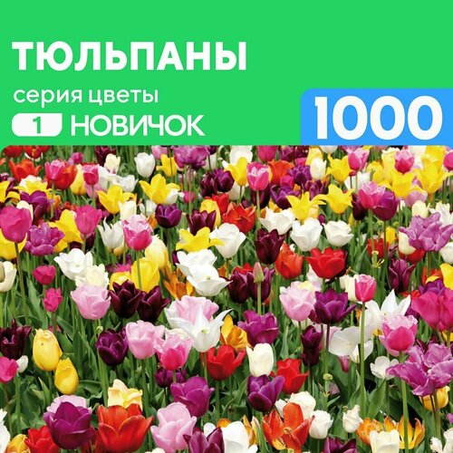 Деревянный пазл Тюльпаны 1000 деталей Новичок