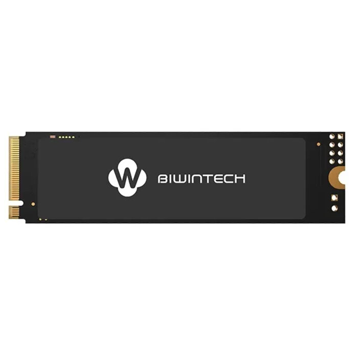 Biwintech Накопитель SSD M.2 PCI-E 256GB Biwintech NX500 Series 82P1B8#G
