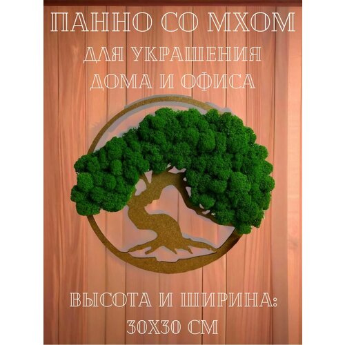 Панно стабилизированный мох для декора дома работы студии