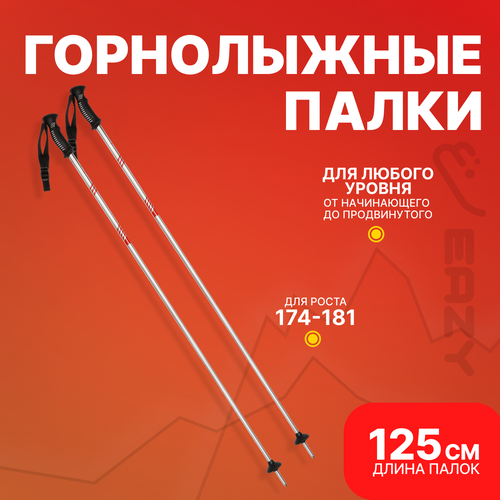 Лыжные горнолыжные палки Eazyrent 125 см / Рост 174-181
