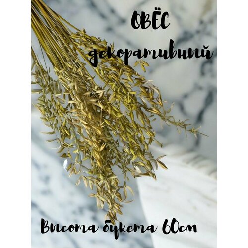 Декор из натурального овса для дома сада 55веток