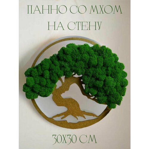 Панно декоративное со мхом для дома и фотостудии, украшение