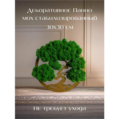 Панно декоративное со мхом для украшения фото и творчества