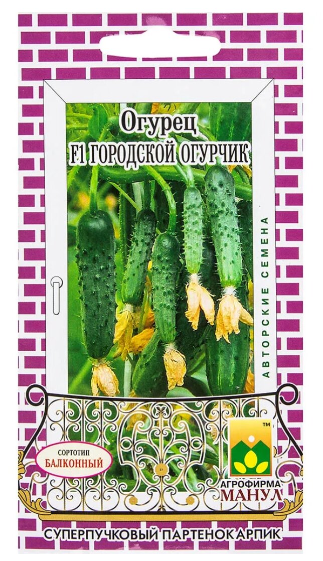 Огурец Городской огурчик F1 (10 сем)корнишон для балкона и подоконника