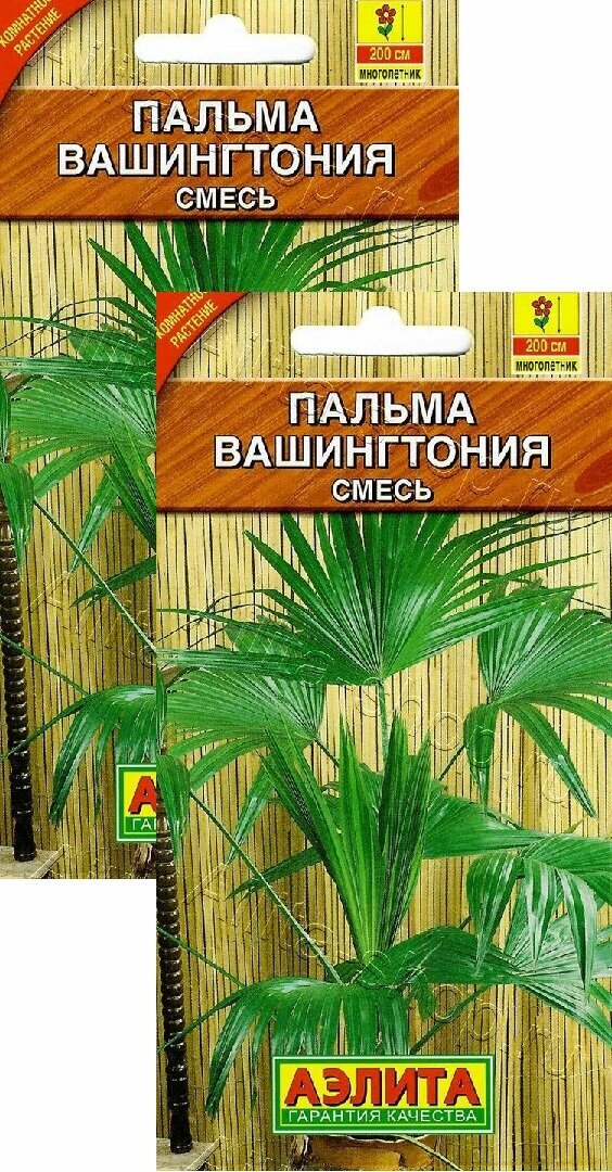 Семена Пальма Вашингтония (2 шт.), 2 пакета, Агрофирма Аэлита