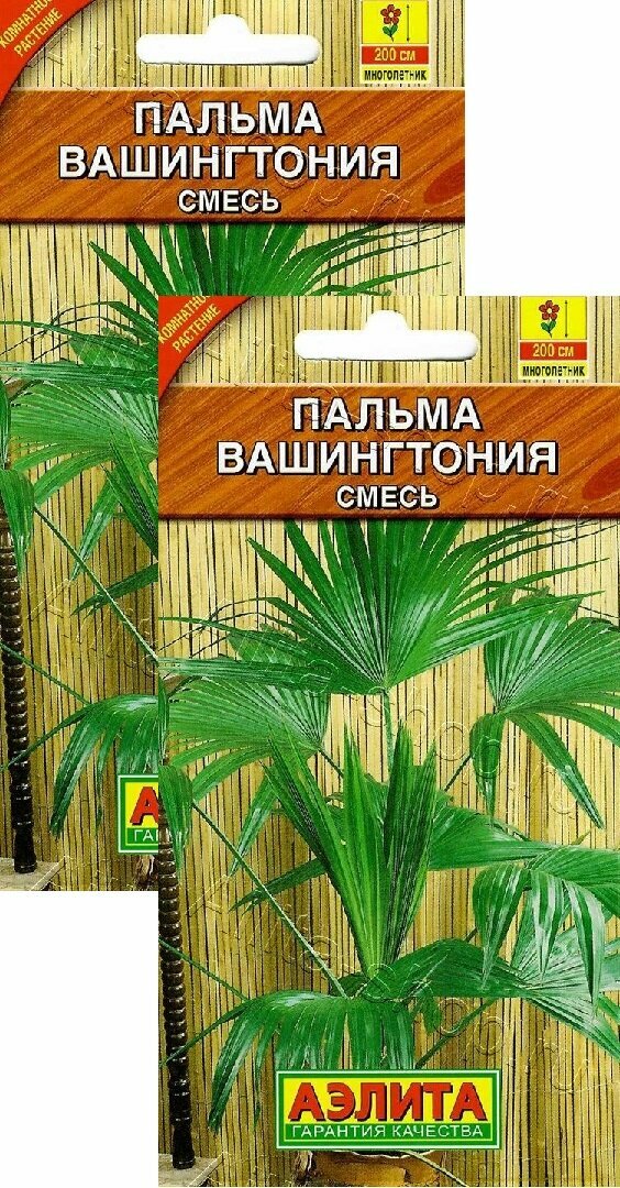 Пальма Вашингтония (2 шт.), 2 пакета