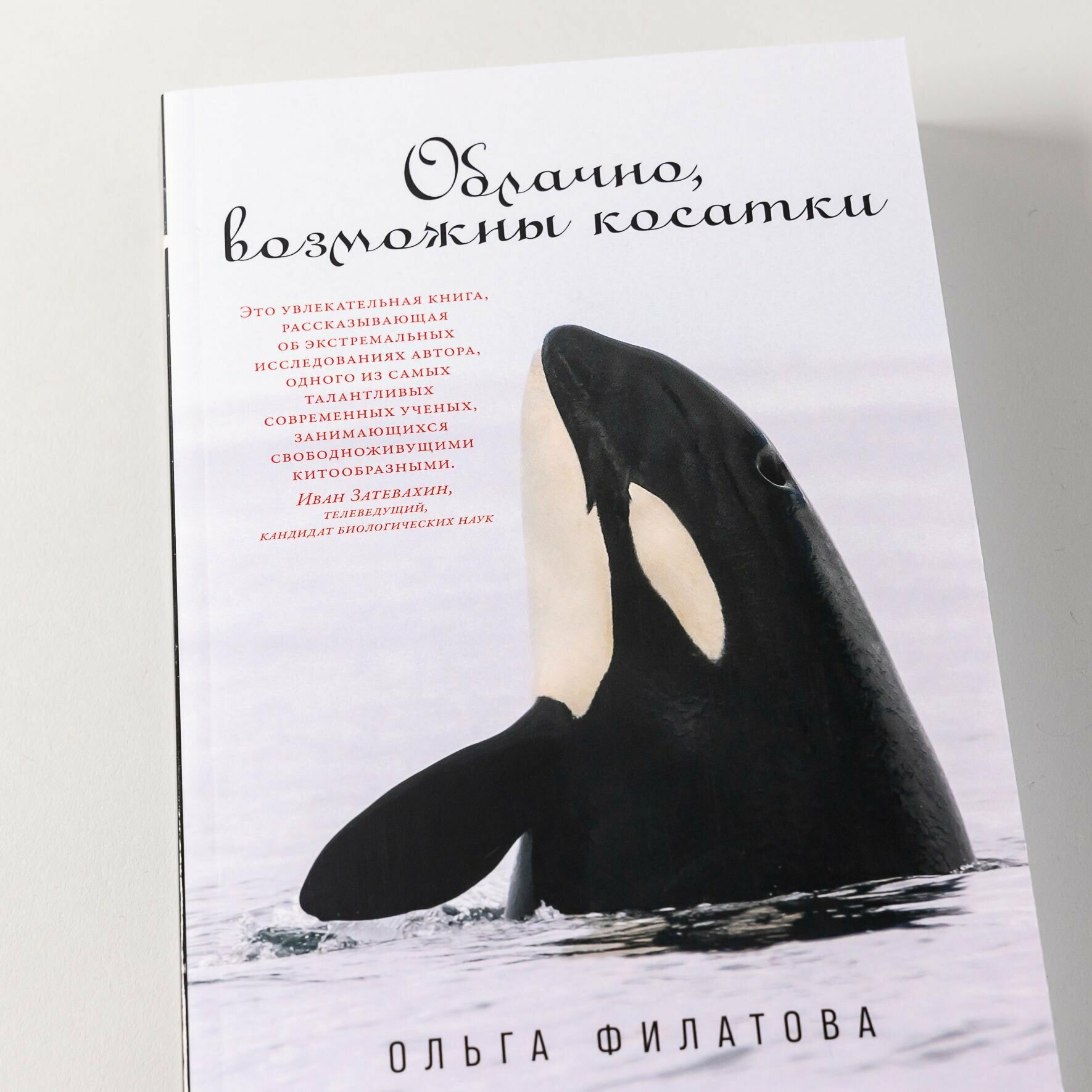 Облачно, возможны косатки (Филатова Ольга Александровна) - фото №2