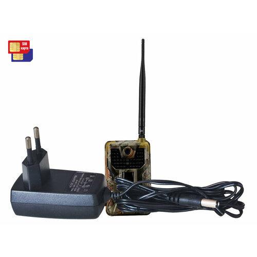 Фотоловушка Suntek Филин HC900 LTE4G Originale Q29205HC9 - фотоловушка для охраны фотоловушка филин 3g филин 120 3g фотоловушка 4g 1454300₽