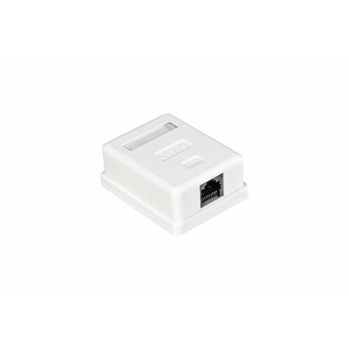 Внешняя розетка ExeGate RJ-45 категории 5/5E UTP Krone/110 271122 белый