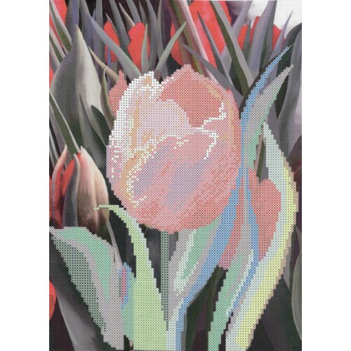 Канва с рисунком для вышивки бисером чаривна мить Тюльпаны, 21*28см, 1шт