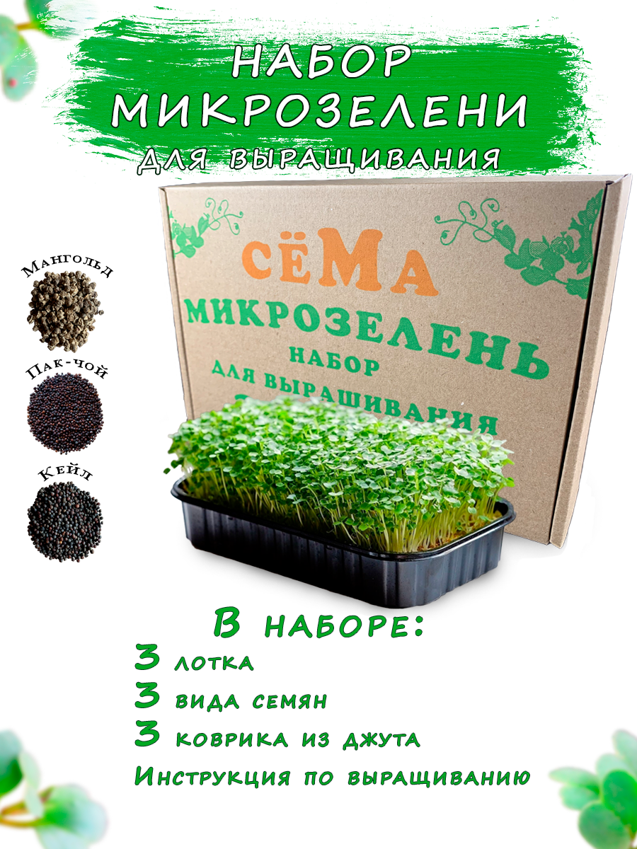 Набор микрозелени для выращивания "Микромагия" 3 культуры
