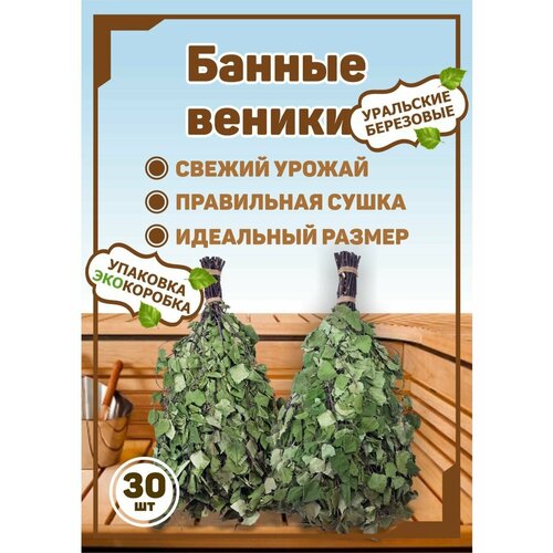 Веники для бани набор березовые 30 штук