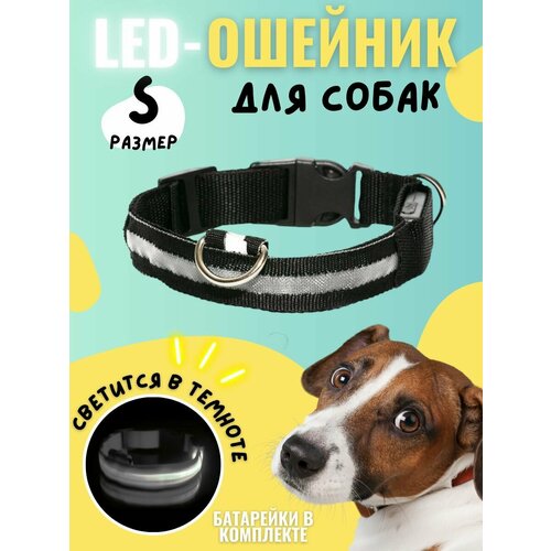 Светящийся ошейник для собак, для крупных, средних и мелких пород, светодиодный LED с регулировкой длины