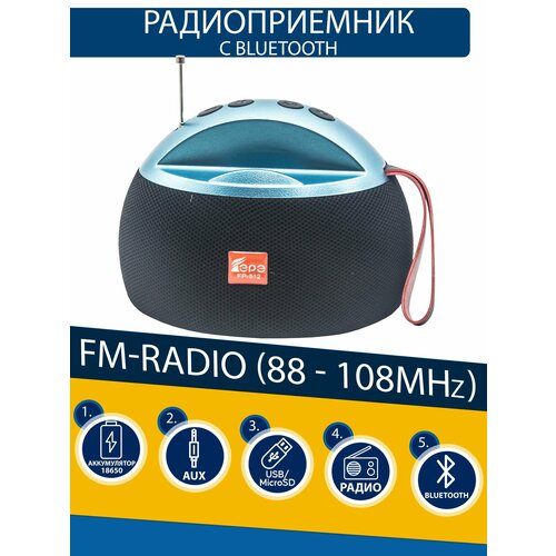 Стильный радиоприемник с качественным звуком 111000₽