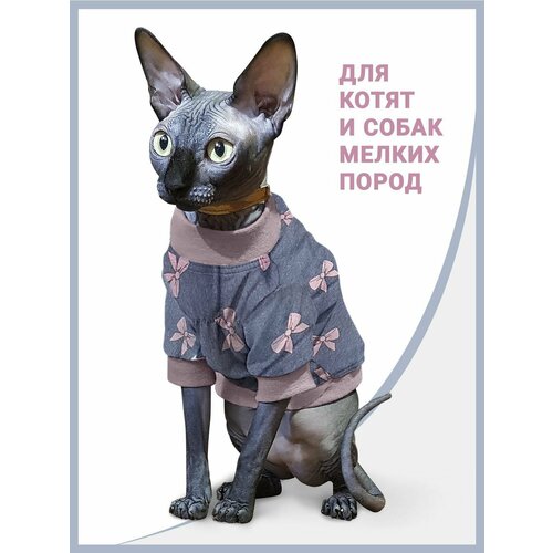 Футболка для кошек и котят Бантик / Одежда для кошек сфинкс