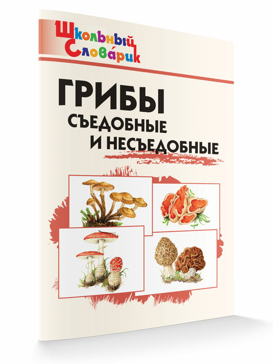 Грибы съедобные и несъедобные Начальная школа - фото №5